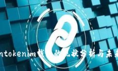 Tokentokenim钱包的现状分析与未来展望